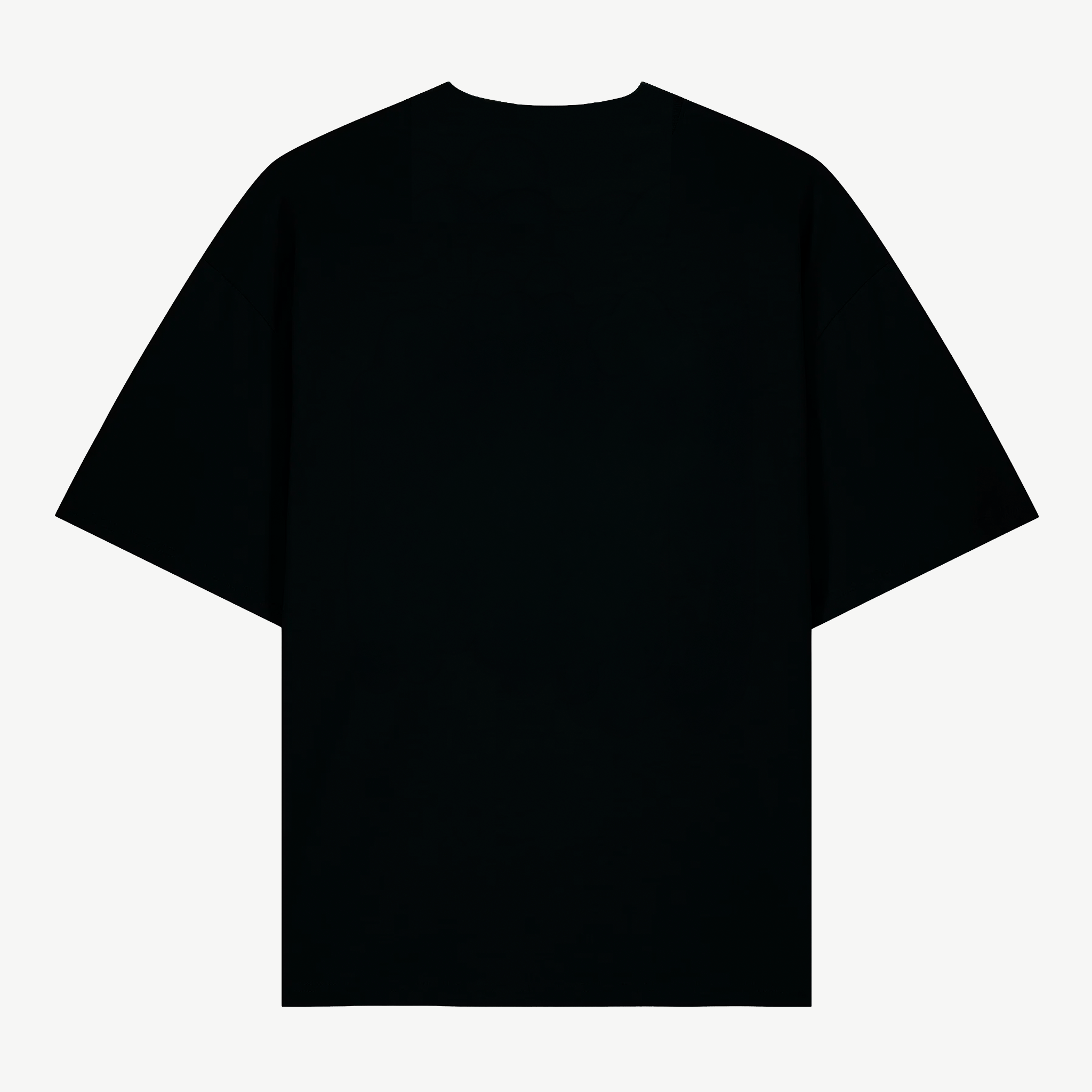 LA PIOCHE T SHIRT